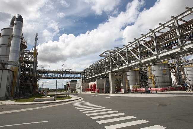 Polo-foto-Carol-Garcia